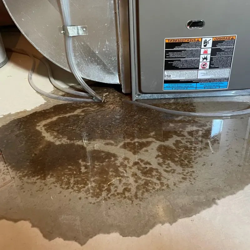 Pipe Burst and Leak Restoration in Hurstbourne, KY