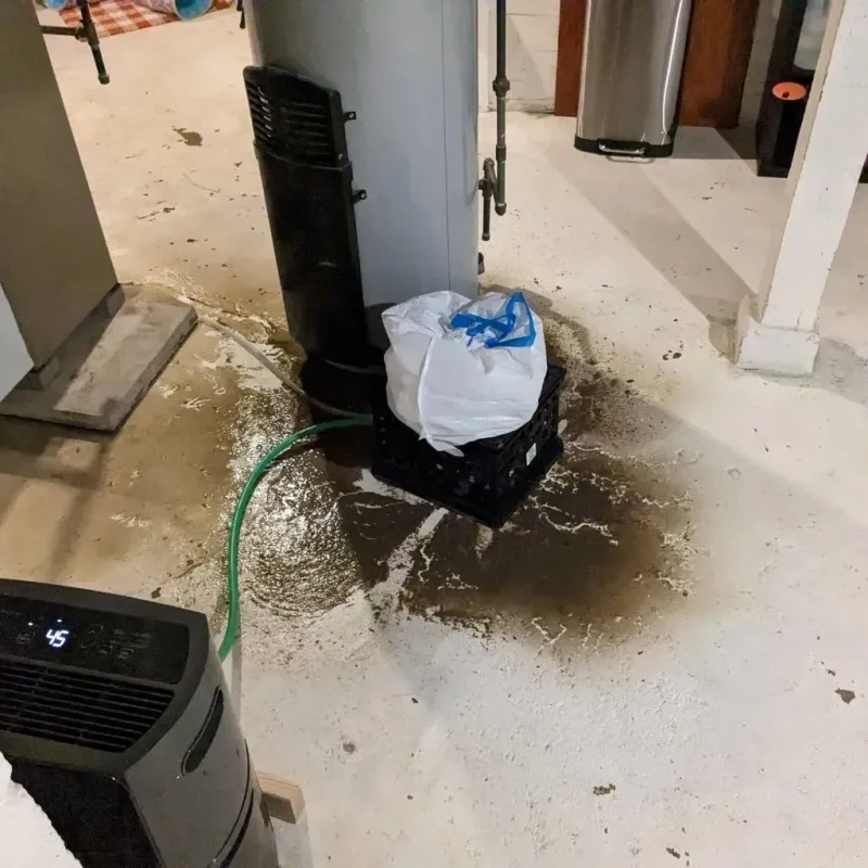 Sewage Backup Cleanup Service in Hurstbourne, KY